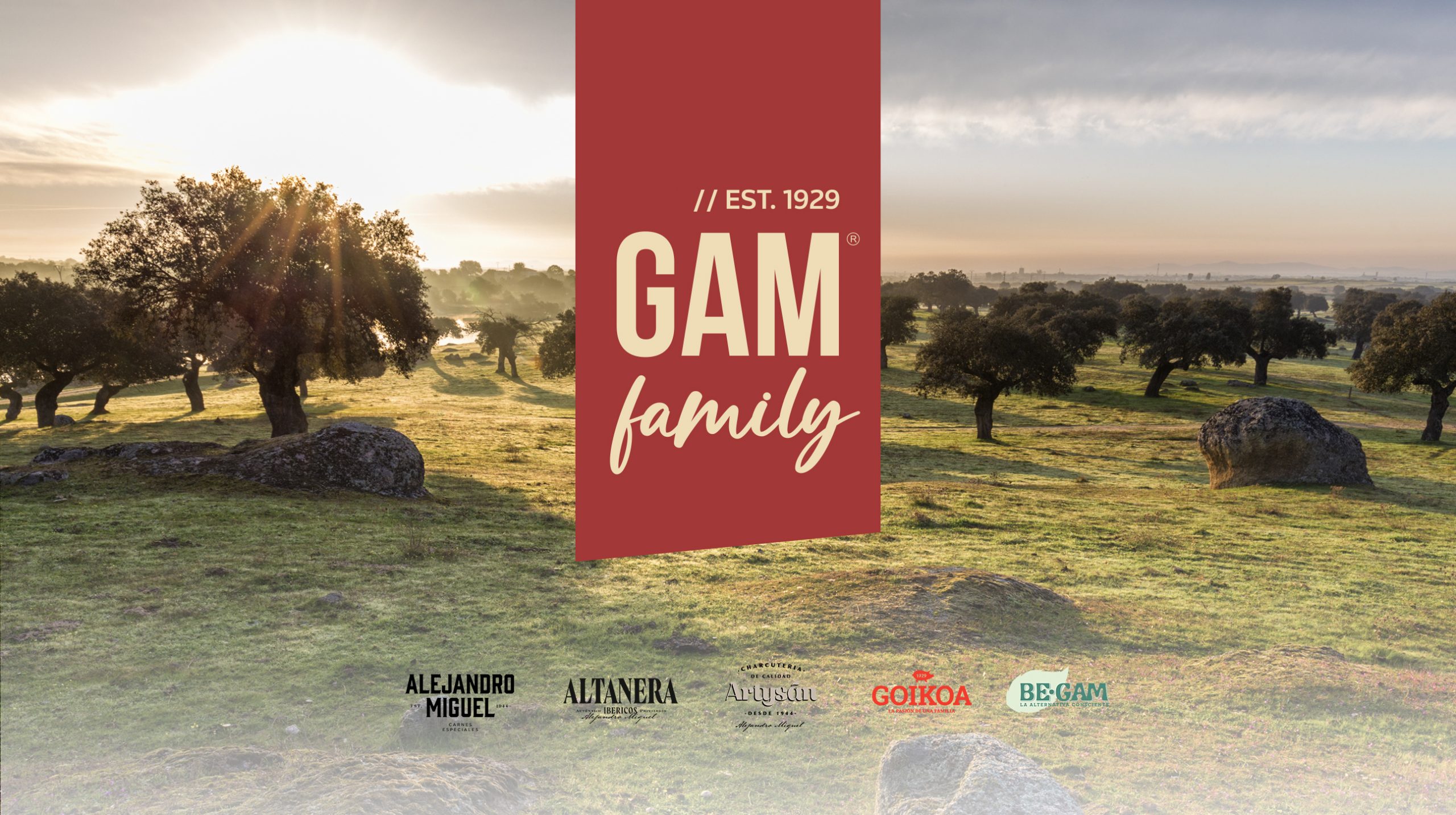 (c) Gamfamily.es